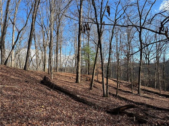 200 Mincey Acres Drive, Murrayville, GA 30564