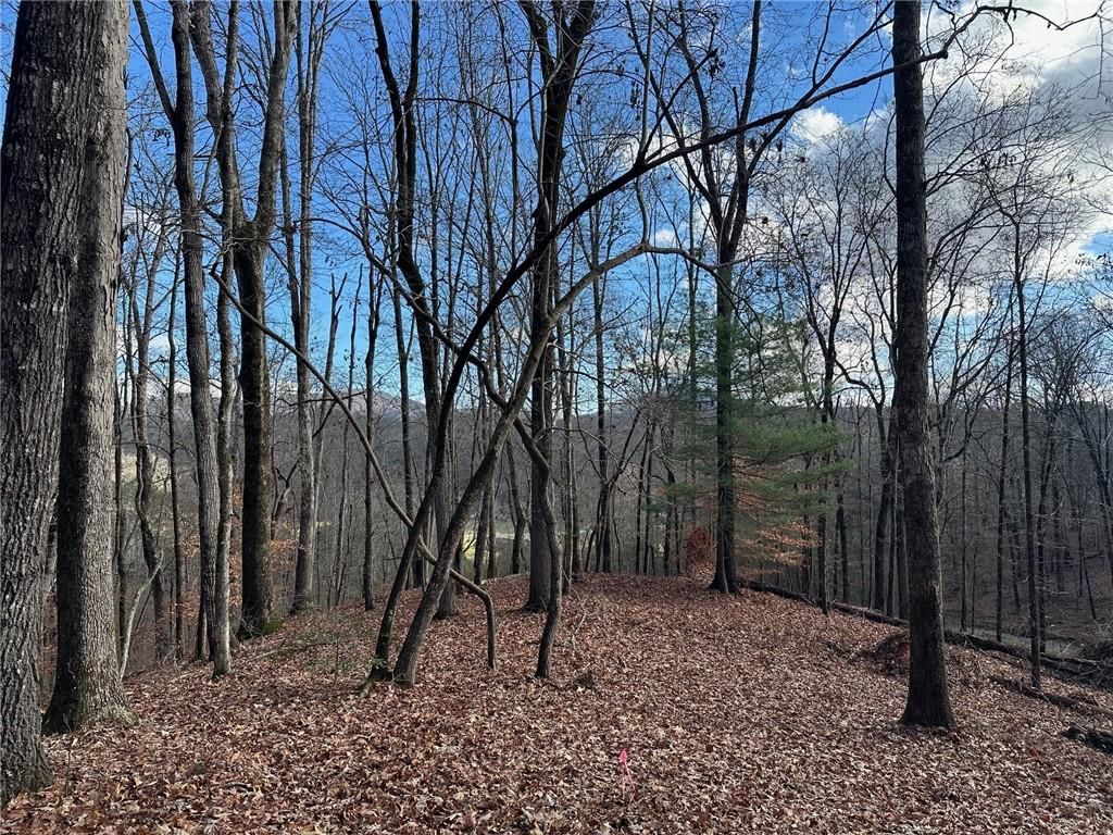 200 Mincey Acres Drive, Murrayville, GA 30564