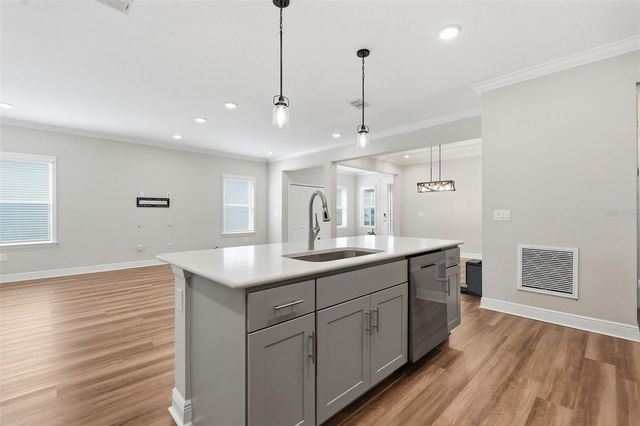31068 JAZZ LEAF PLACE, San Antonio, FL 33576