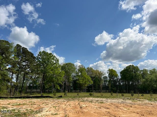 786 Olive Branch Drive, Smithfield, NC 27577