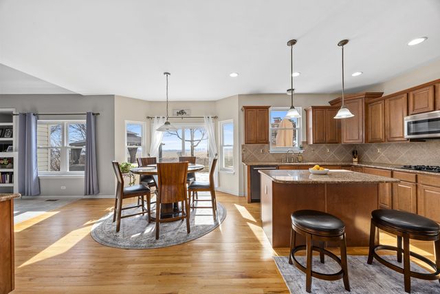 13456 Skyline Drive, Plainfield, IL 60585