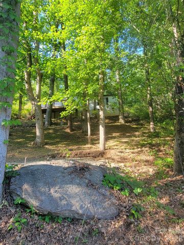 138 Buddy Lane, Chimney Rock, NC 28720