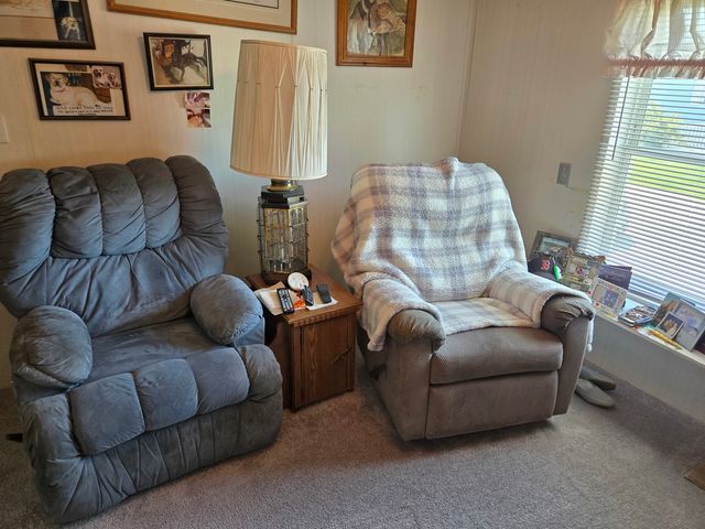 22737 Beverly Drive, Frankfort, IL 60423