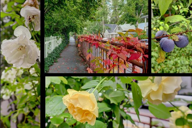 134 Boulder St, Nevada City, CA 95959