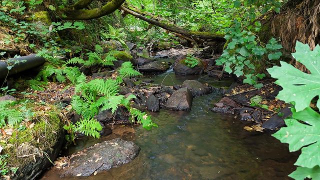 134 Boulder St, Nevada City, CA 95959