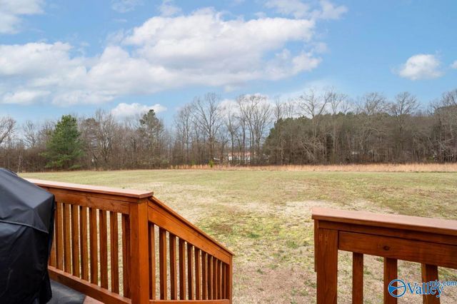 160 Graben Drive, Fyffe, AL 35971