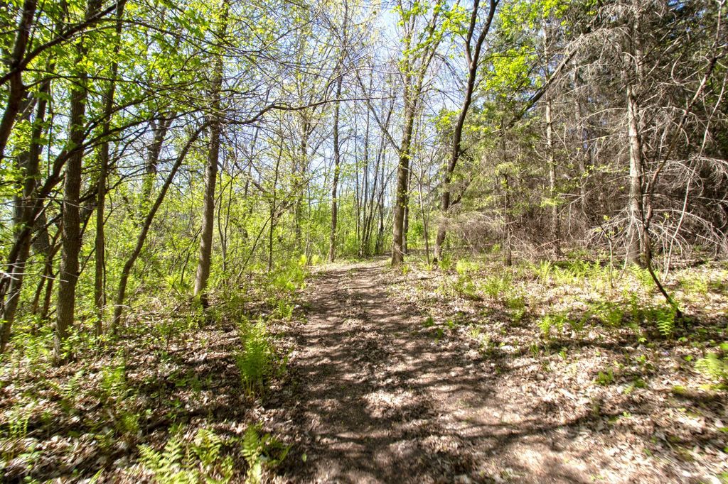 TBD Northland Trail, Lindstrom, MN 55045 — photo 4