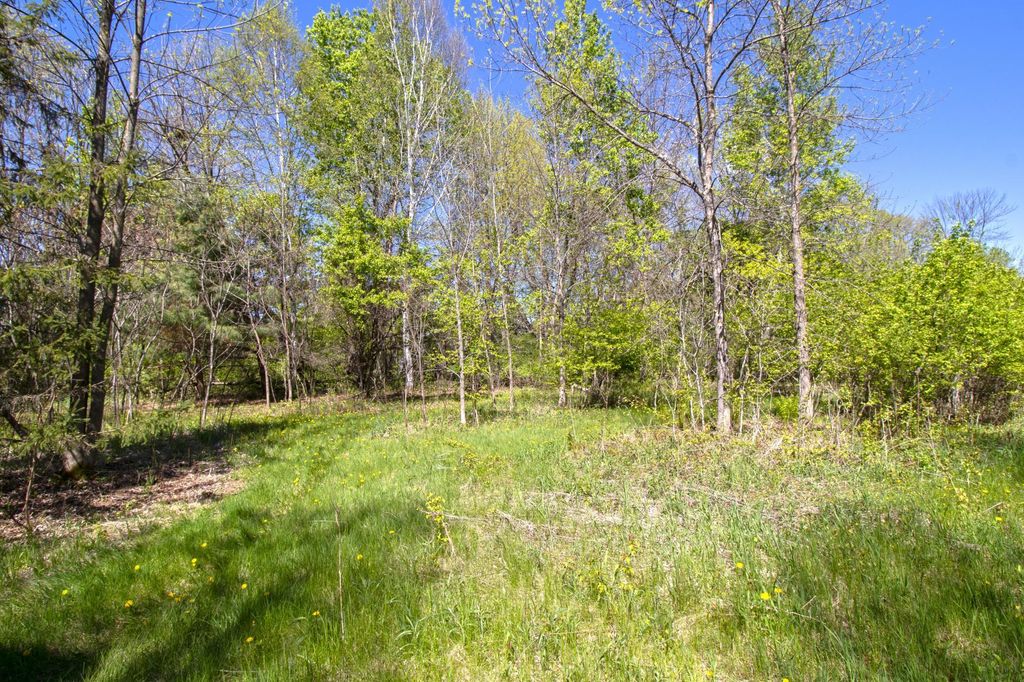 TBD Northland Trail, Lindstrom, MN 55045 — photo 5