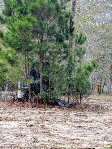 5544 Tall Pine Road, Navasota, TX 77868