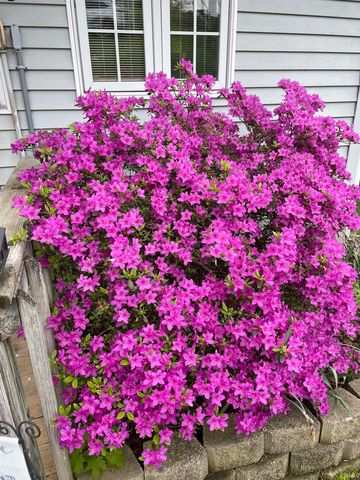 8917 E Circle Drive S Drive, Syracuse, IN 46567