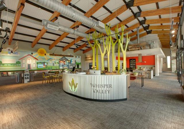 16816 Wind Chime DR, Manor, TX 78653