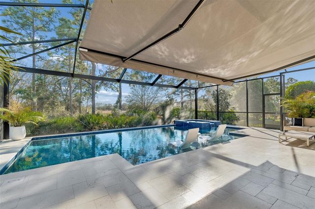 20170 UMBRIA HILL DRIVE, Tampa, FL 33647