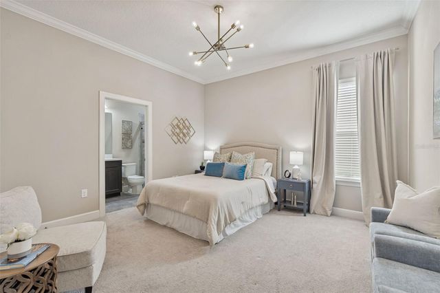 20170 UMBRIA HILL DRIVE, Tampa, FL 33647