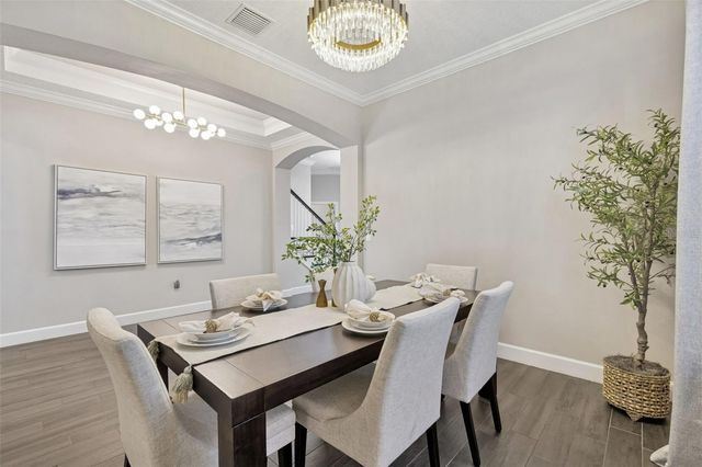 20170 UMBRIA HILL DRIVE, Tampa, FL 33647