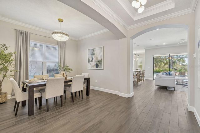 20170 UMBRIA HILL DRIVE, Tampa, FL 33647