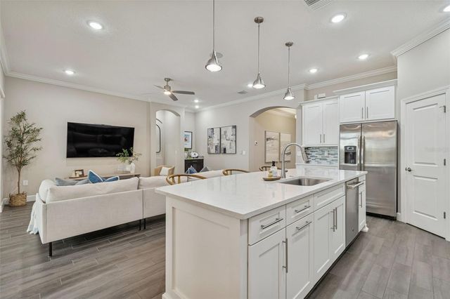 20170 UMBRIA HILL DRIVE, Tampa, FL 33647