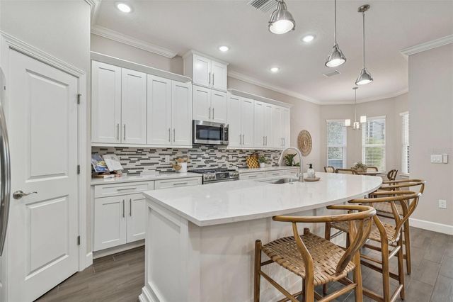 20170 UMBRIA HILL DRIVE, Tampa, FL 33647