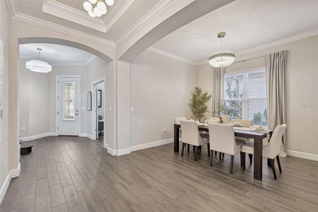 20170 UMBRIA HILL DRIVE, Tampa, FL 33647