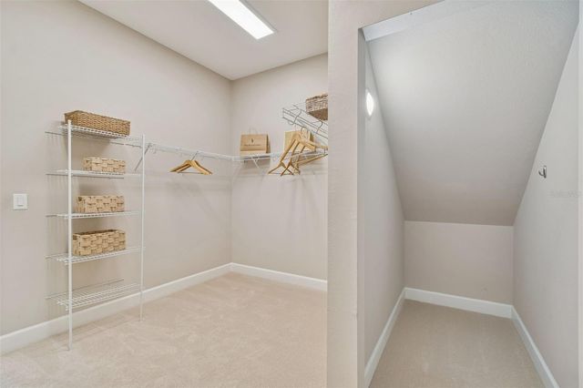 20170 UMBRIA HILL DRIVE, Tampa, FL 33647