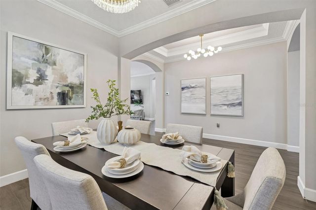 20170 UMBRIA HILL DRIVE, Tampa, FL 33647