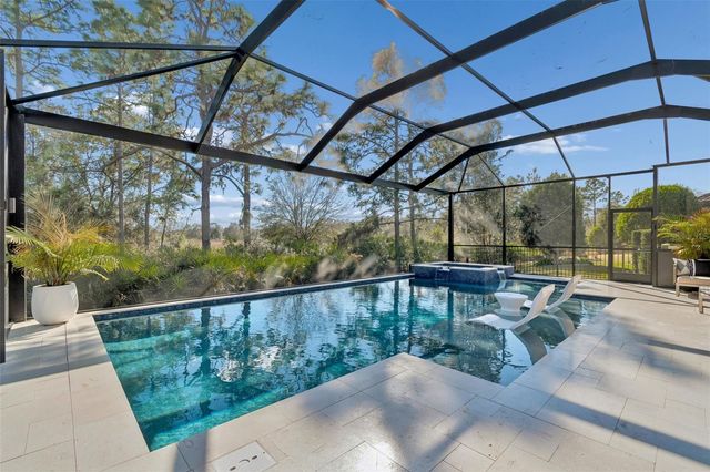 20170 UMBRIA HILL DRIVE, Tampa, FL 33647