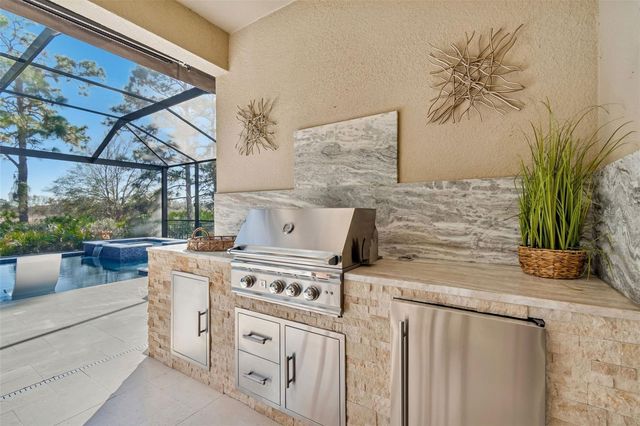 20170 UMBRIA HILL DRIVE, Tampa, FL 33647