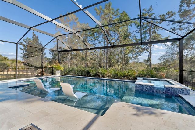 20170 UMBRIA HILL DRIVE, Tampa, FL 33647