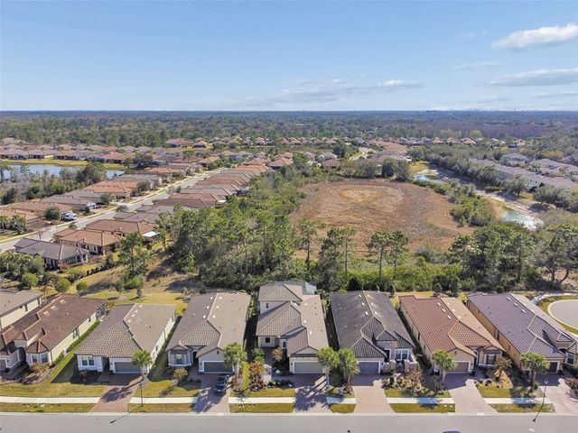 20170 UMBRIA HILL DRIVE, Tampa, FL 33647