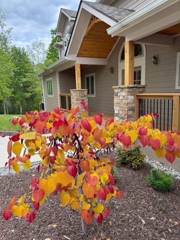 335 Northshore Drive, Blairsville, GA 30512