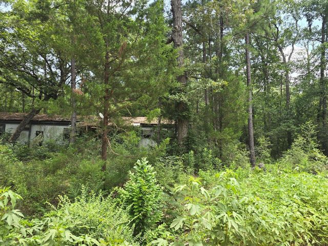 261 Patricia Drive, Livingston, TX 77351