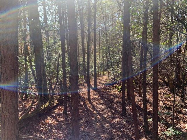0 East New Hope Road, Ellijay, GA 30536