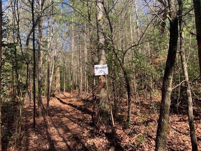 0 East New Hope Road, Ellijay, GA 30536