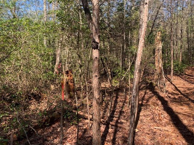 0 East New Hope Road, Ellijay, GA 30536