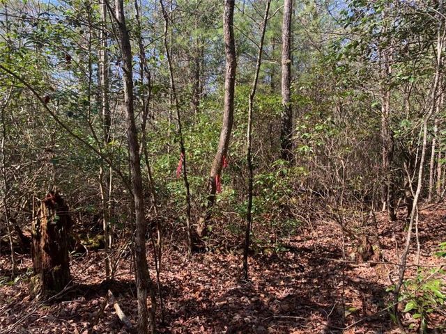 0 East New Hope Road, Ellijay, GA 30536