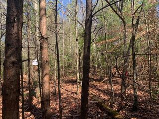 0 East New Hope Road, Ellijay, GA 30536
