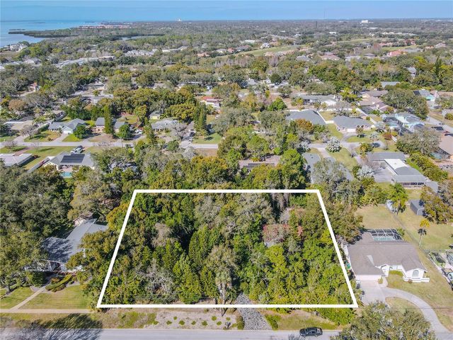 809 CARDINAL AVENUE, Palm Harbor, FL 34683