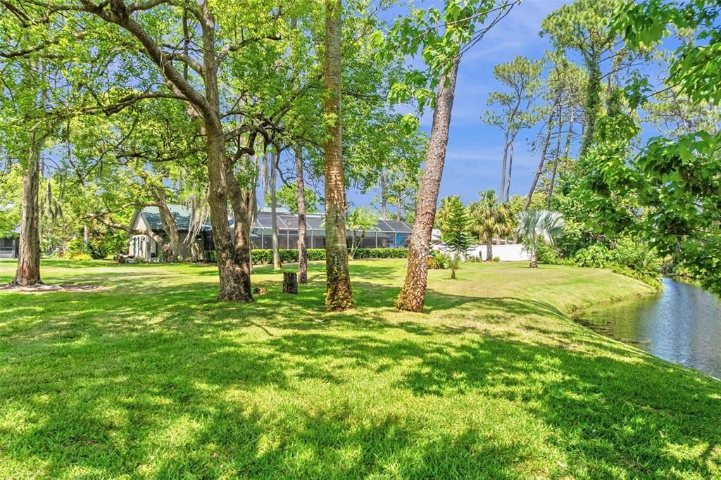 Image 5 of property listing at 114 SAND PINE PLACE, New Smyrna Beach, FL 32168