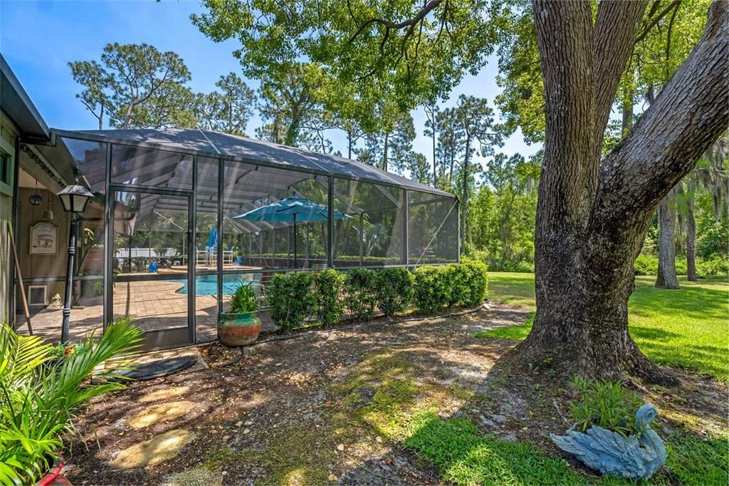 Image 55 of property listing at 114 SAND PINE PLACE, New Smyrna Beach, FL 32168