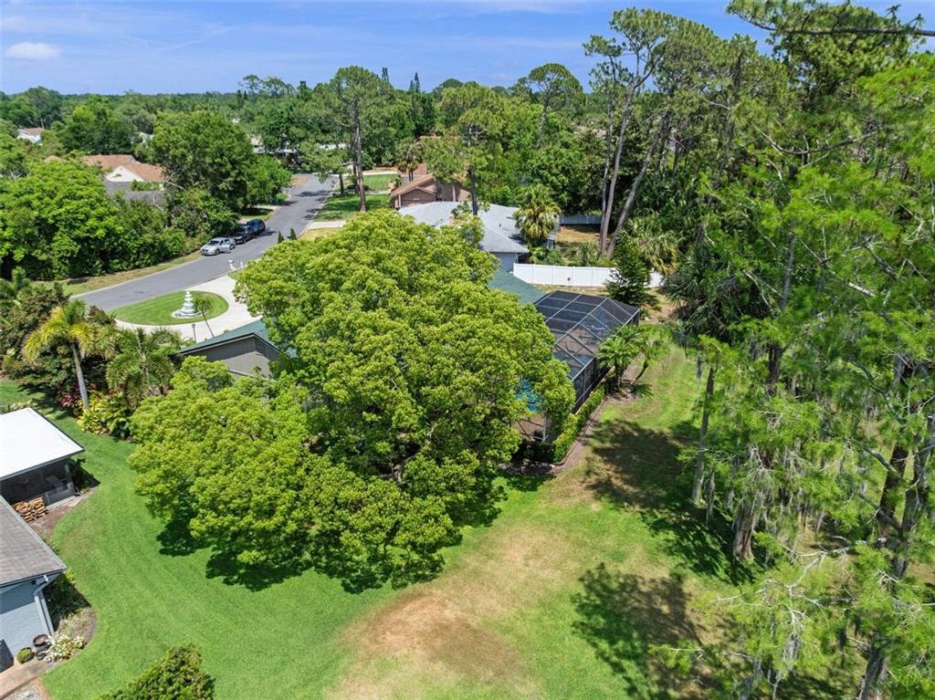Image 67 of property listing at 114 SAND PINE PLACE, New Smyrna Beach, FL 32168