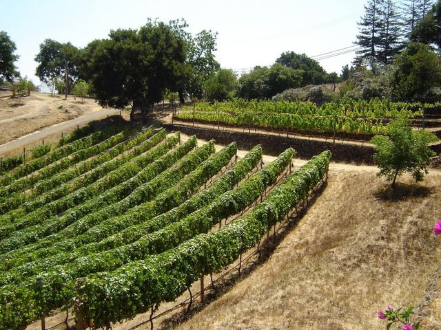 11571 Buena Vista Drive, Los Altos Hills, CA 94022