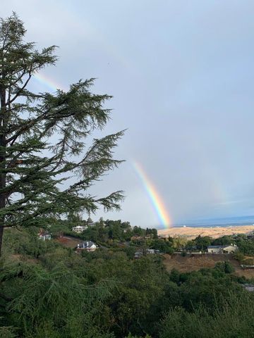 11571 Buena Vista Drive, Los Altos Hills, CA 94022