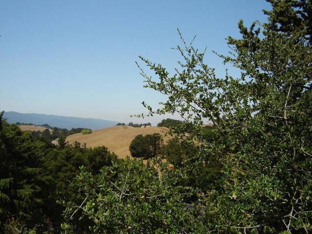 11571 Buena Vista Drive, Los Altos Hills, CA 94022