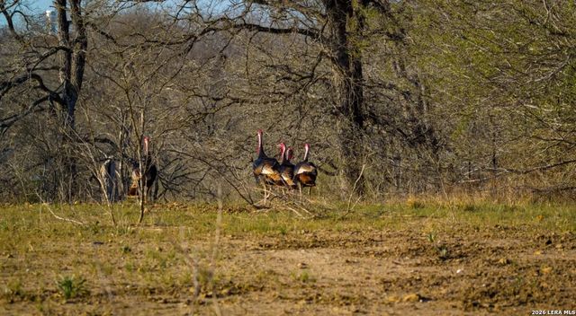 13775 Farm to Market Road 725, Seguin, TX 78155