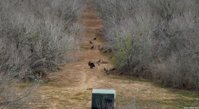 13775 Farm to Market Road 725, Seguin, TX 78155