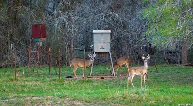 13775 Farm to Market Road 725, Seguin, TX 78155