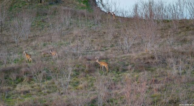 13775 Farm to Market Road 725, Seguin, TX 78155