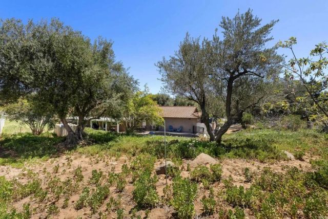 2365 Shaylene Way, Alpine, CA 91901