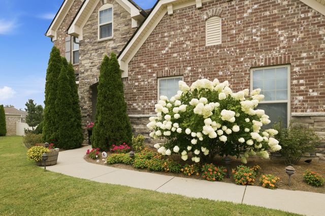 7008 San Gilberto Ct, Spring Hill, TN 37174