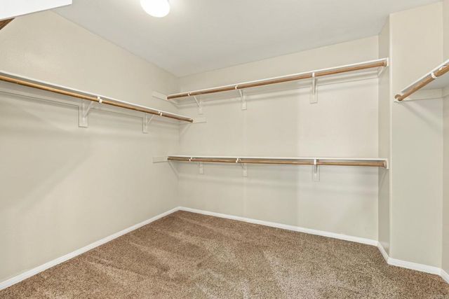 437 Corte Calypso, Chula Vista, CA 91914