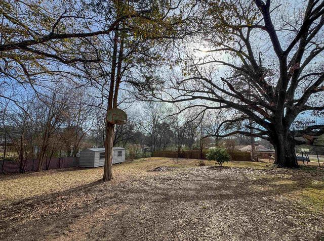 403 Daingerfield Street, Naples, TX 75568